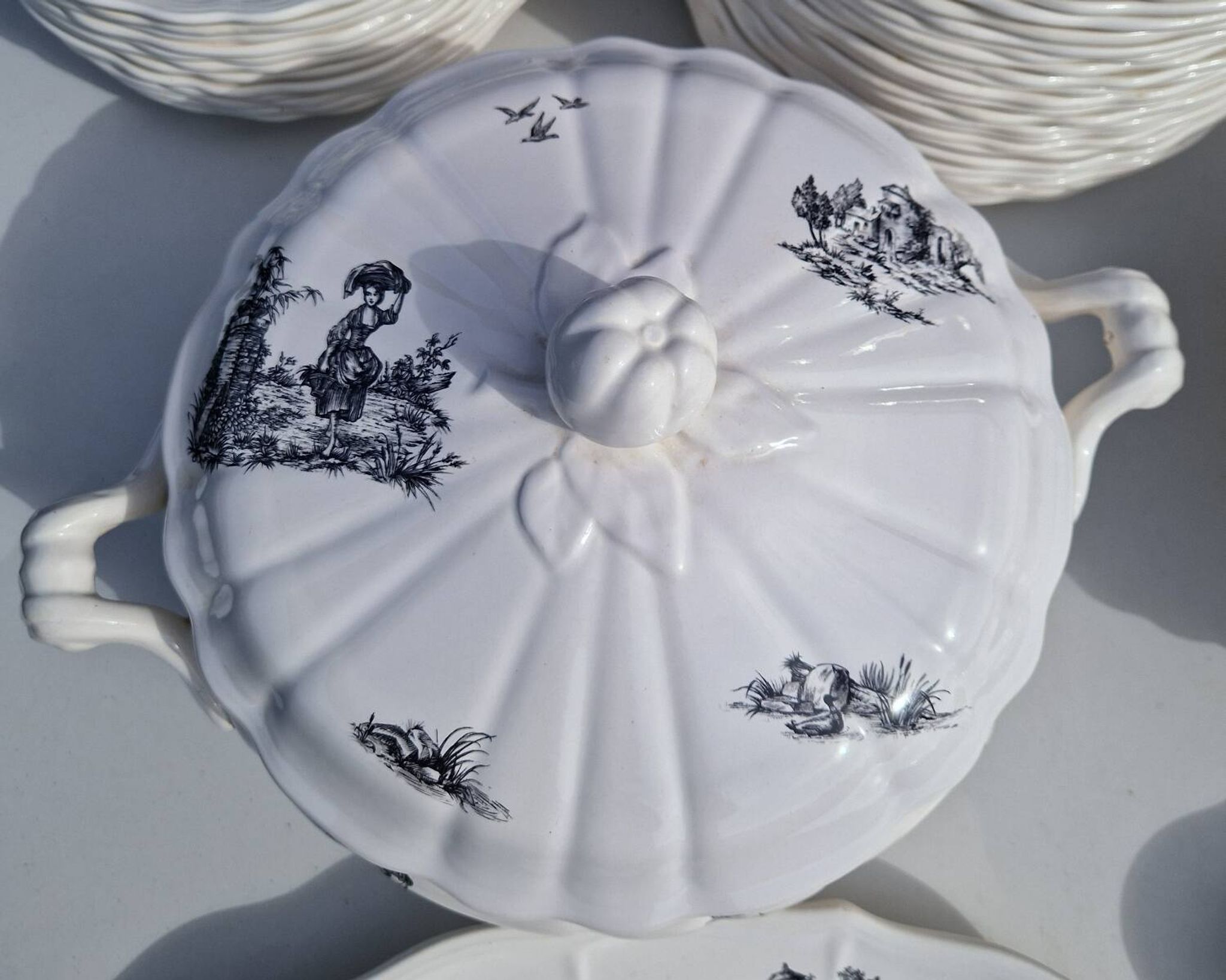 Salins earthenware table service model Chantal, 55 pieces.