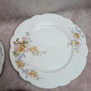 Set of 7 vintage flat plates in porcelain – Polychrome floral decoration