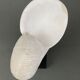 Plaster shell on blackened wooden base cabinet of curiosities XXth