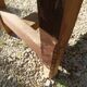 Solid wood garden bench