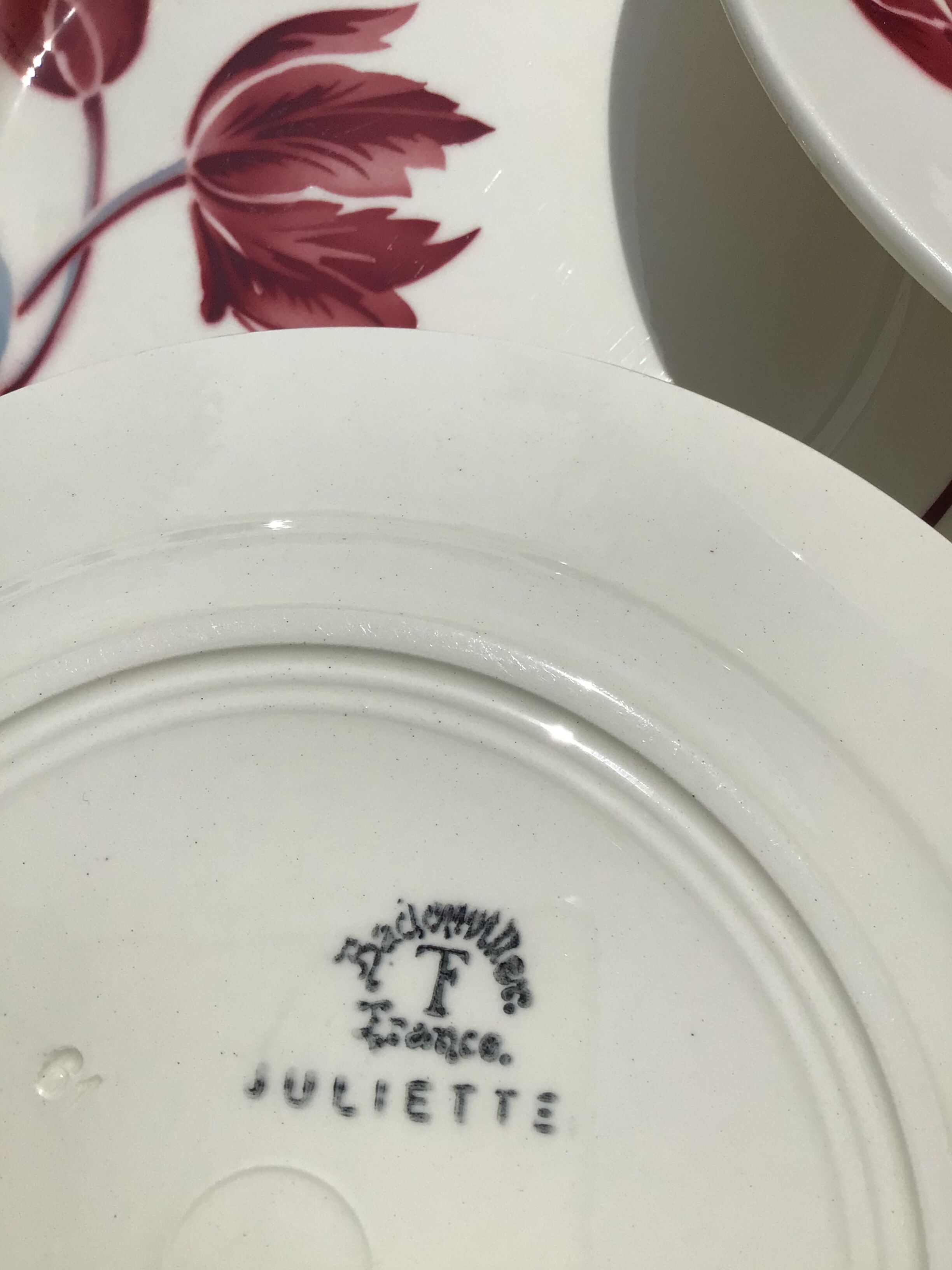 10 assiettes plates Badonviller modèle Juliette  tulipes bordeaux