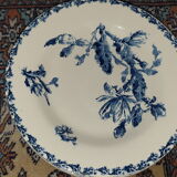 Plates gien model Cactus hollow