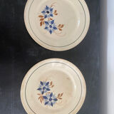 Lot 2 assiettes porcelaine ancienne