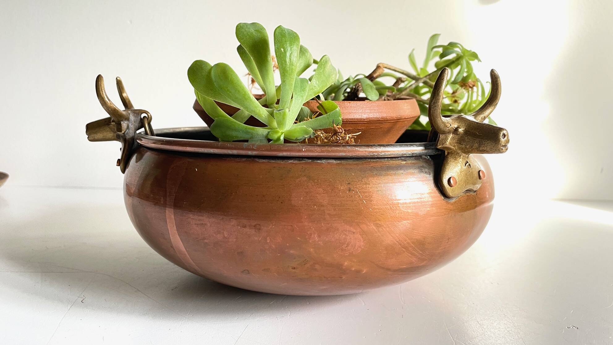 Cache-pot suspendu aux 3 buffles vintage