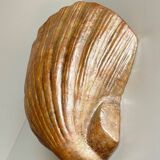 Shell wall enameled by aljezur