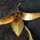 2 old wall sconces by Jacques Duval Brasseur or Henri Fernandez.
