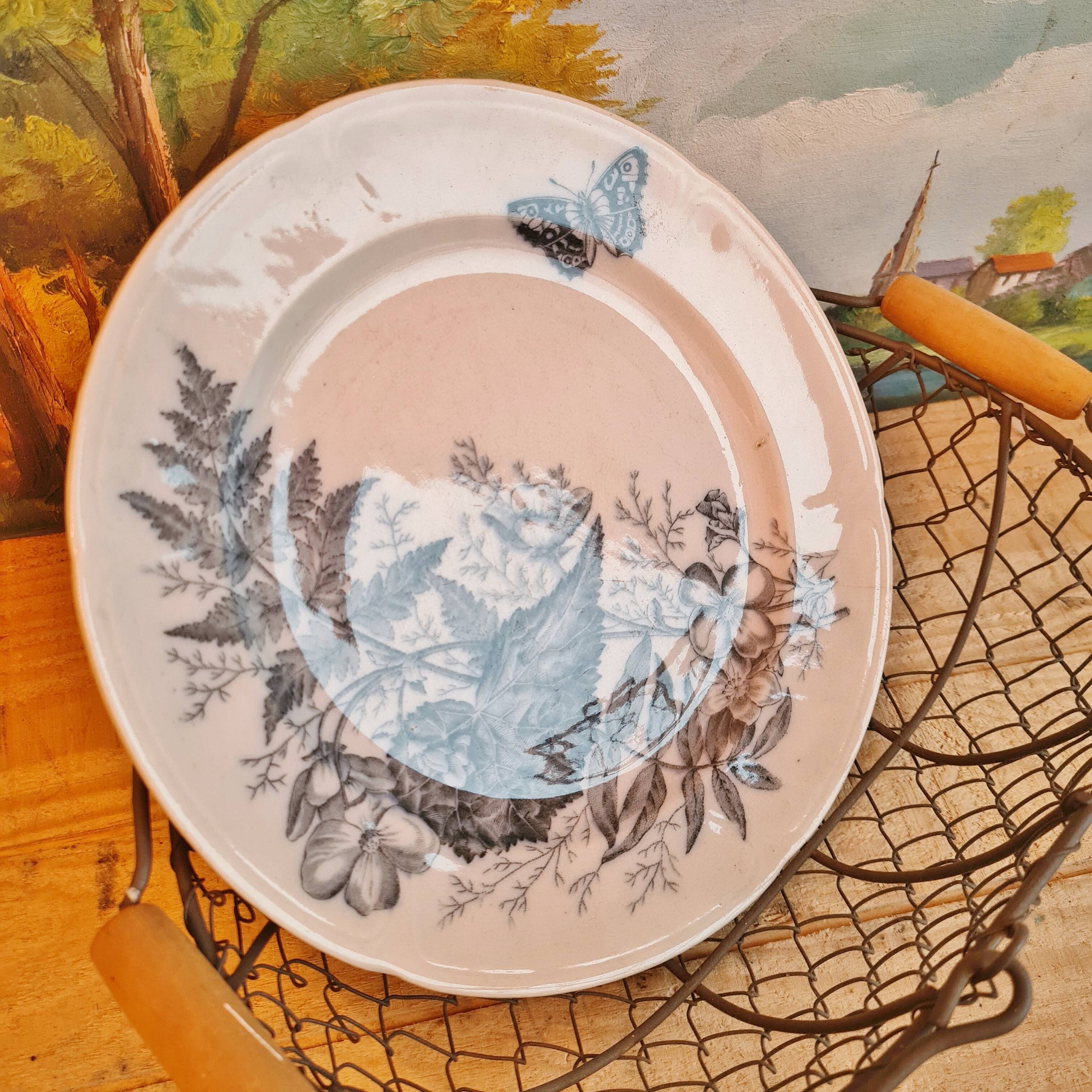 Rare plate iron earth sandeman mc dougall model fern (fern)