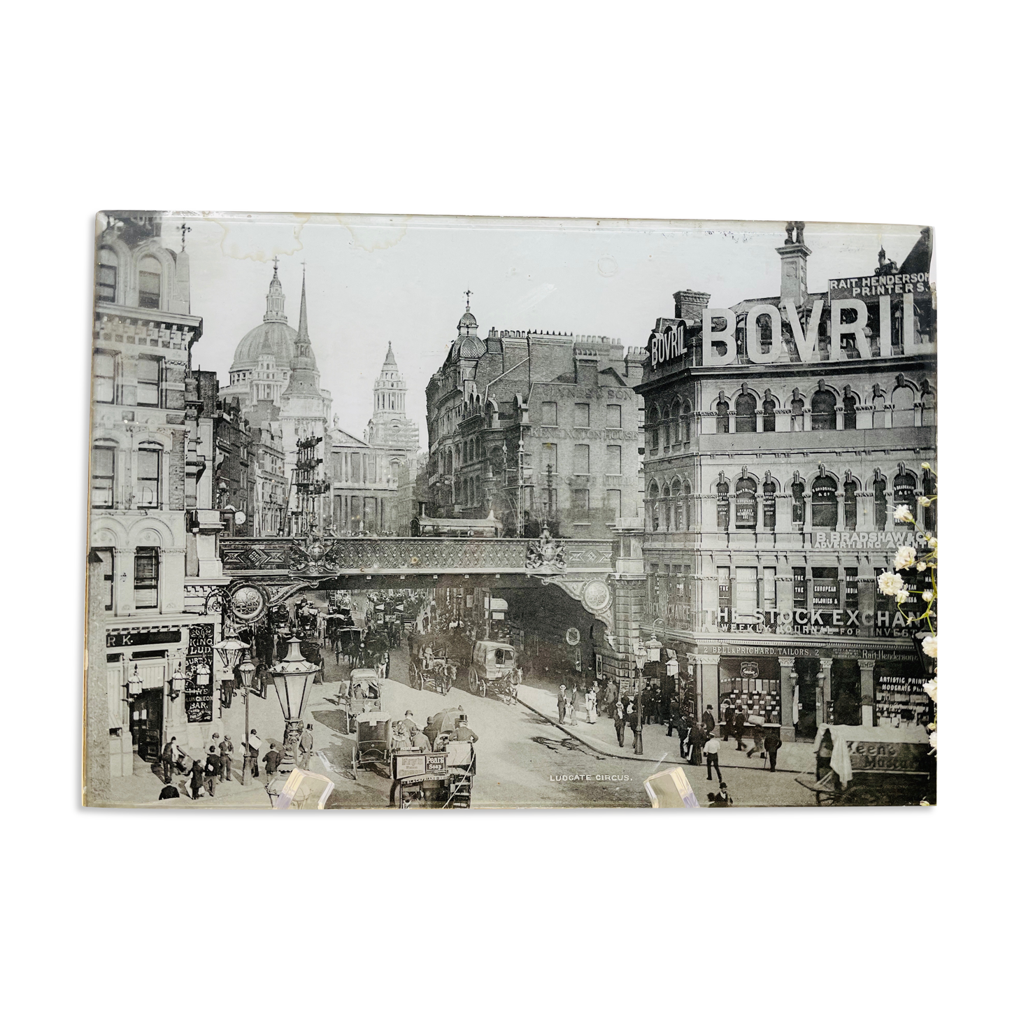 Photography London pressed under glass and cardboard - End 19th