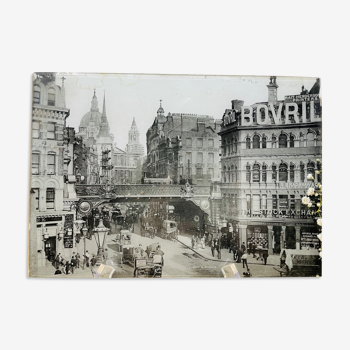 Photography London pressed under glass and cardboard - End 19th