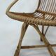 Fauteuil en rotin de Rohe Noordwolde, 1960, Pays-Bas