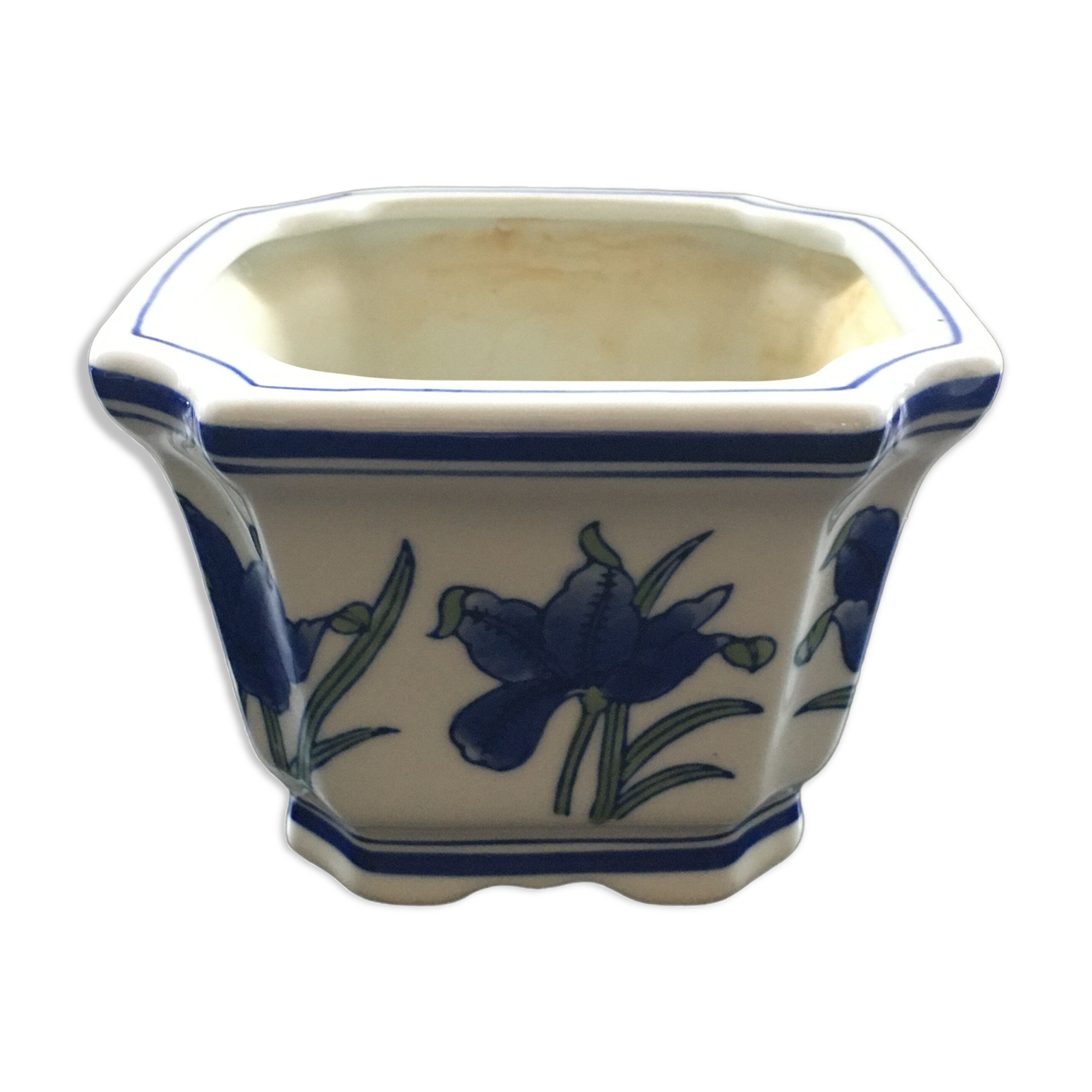 Blue iris pot cache.