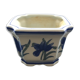 Blue iris pot cache.