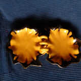 Beggar leaf shape of Vallauris France
