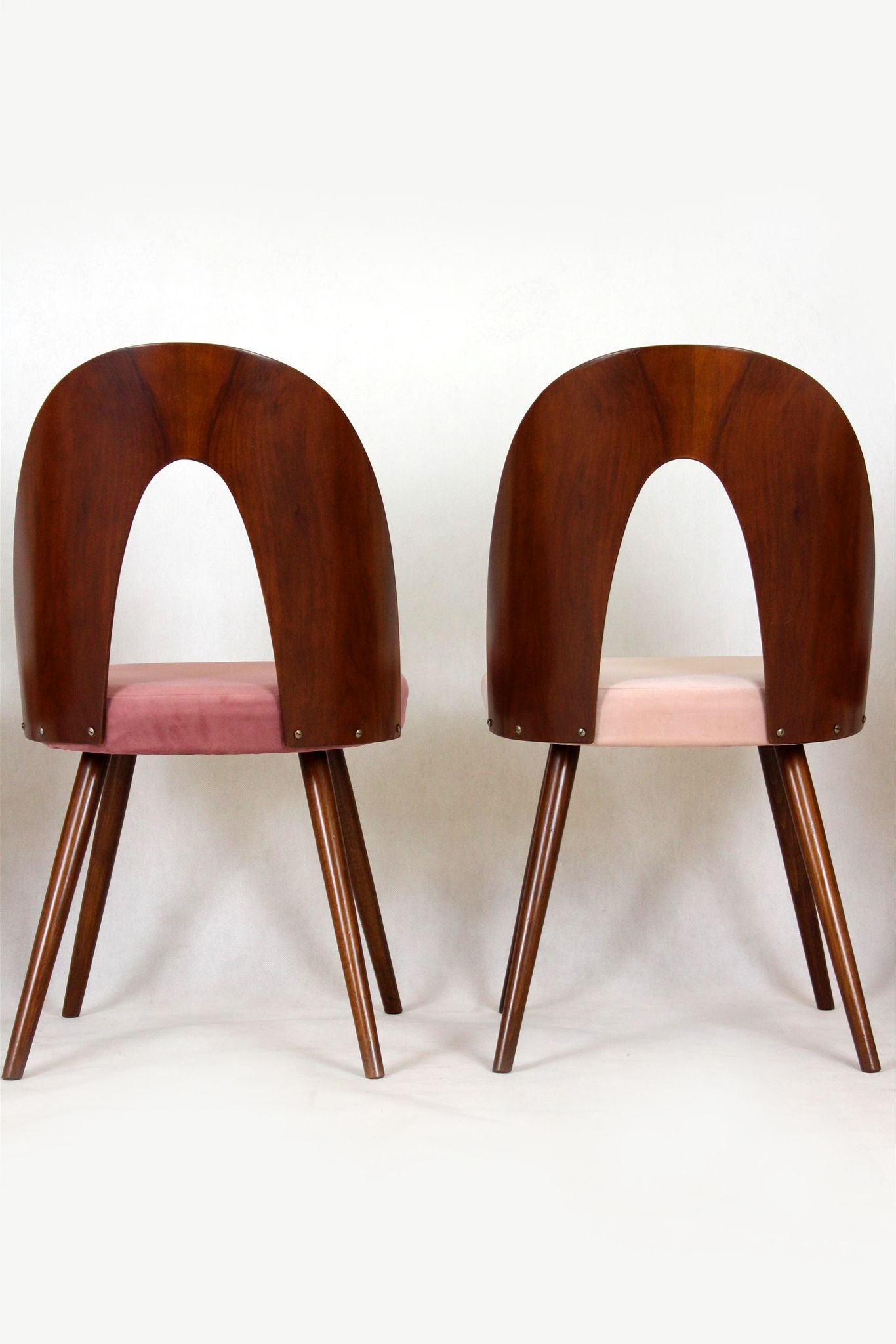 Chaises de salle à manger par Antonin Suman, années 1960