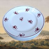 Lot de 4 assiettes plates