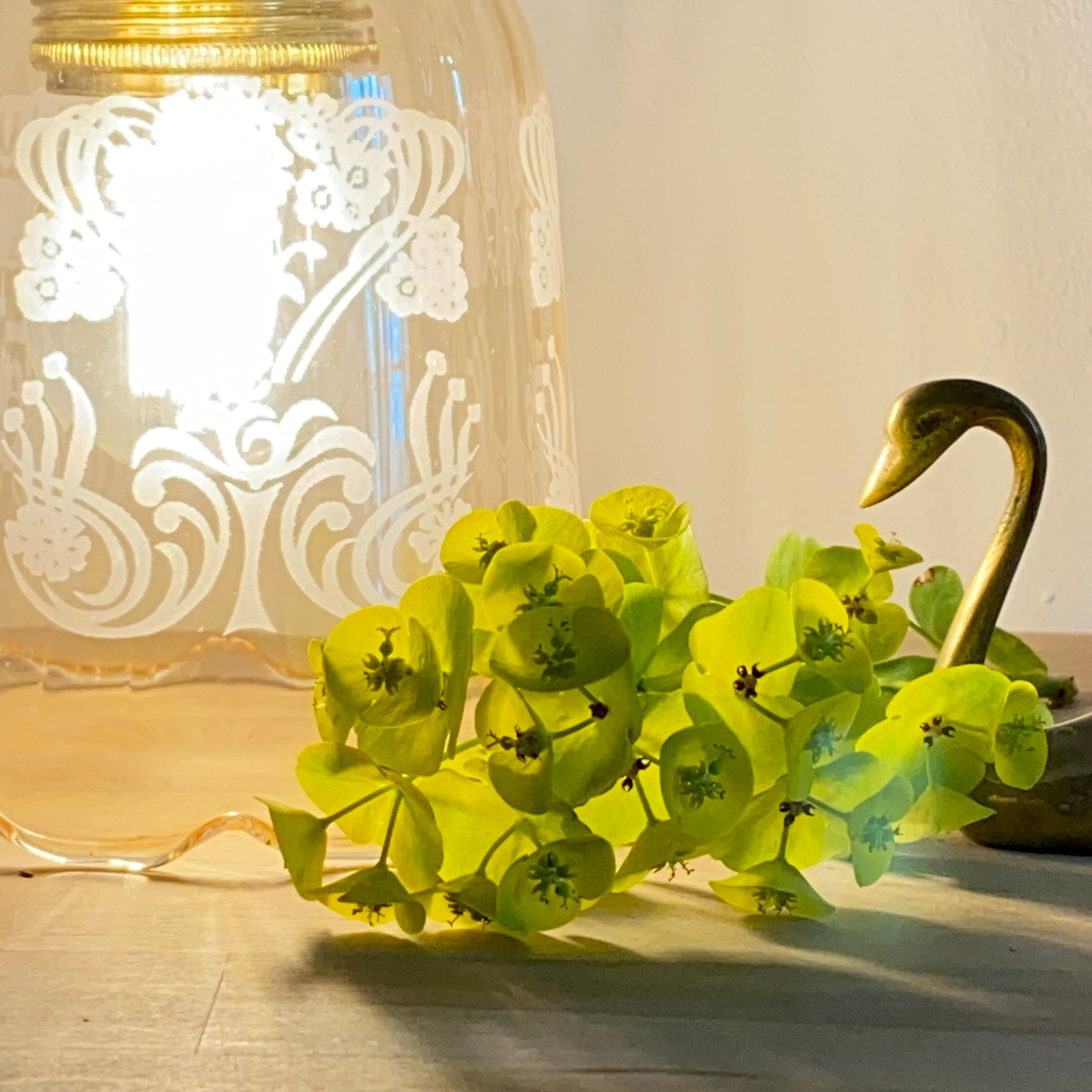 Vintage tulip walking lamp in amber glass