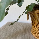 Vintage woven wicker pot cover