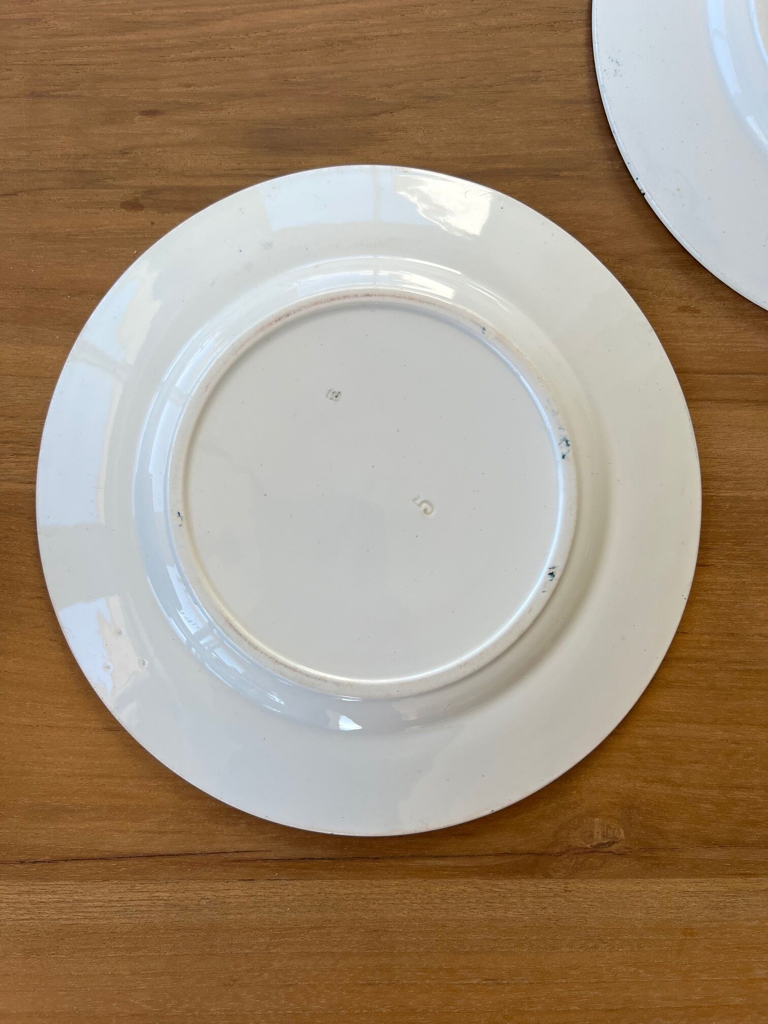 2 plates in Iron Earth