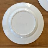 2 plates in Iron Earth