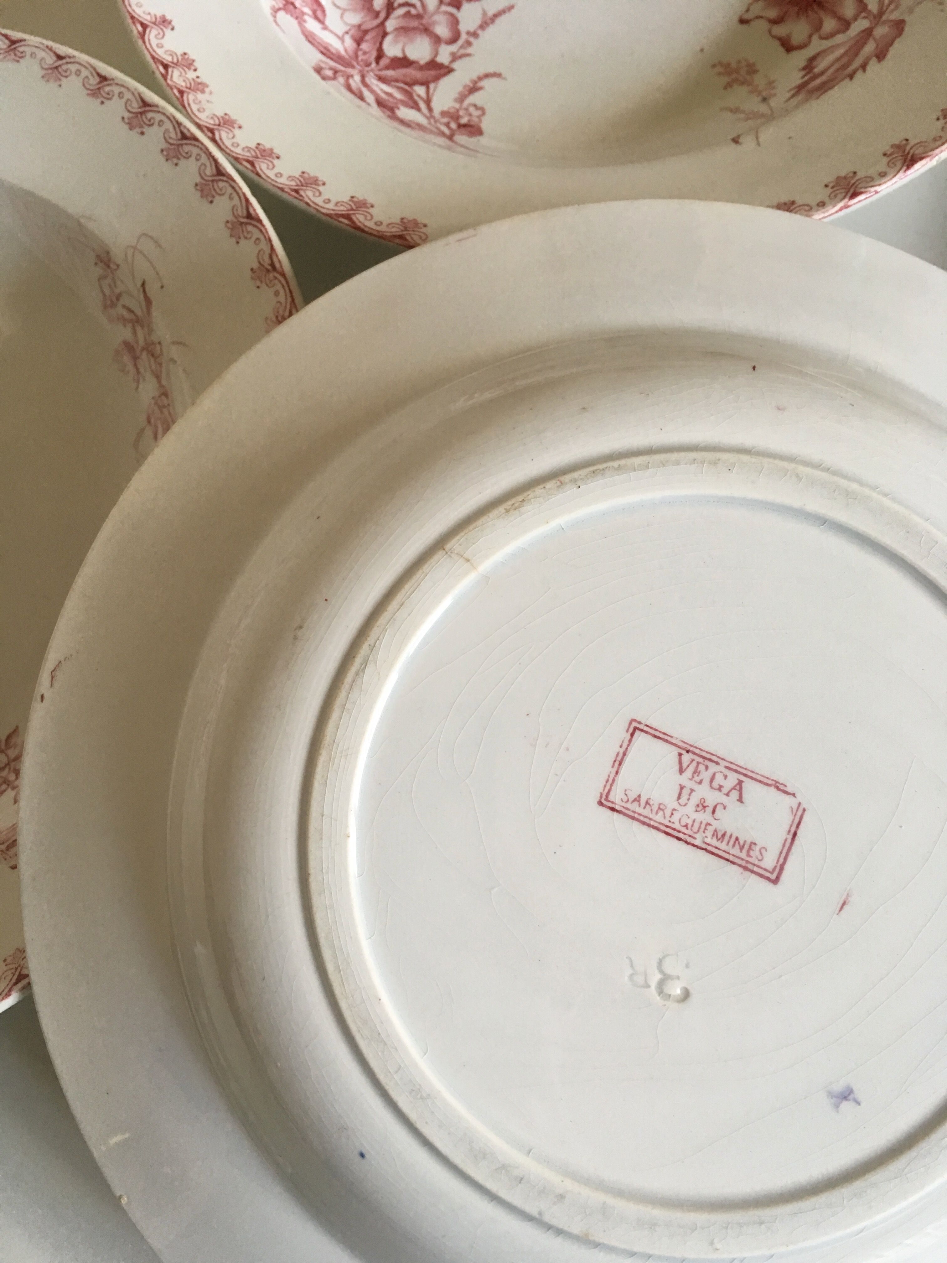 Soup plates of Sarreguemines, land of iron décor Vega, early 20th