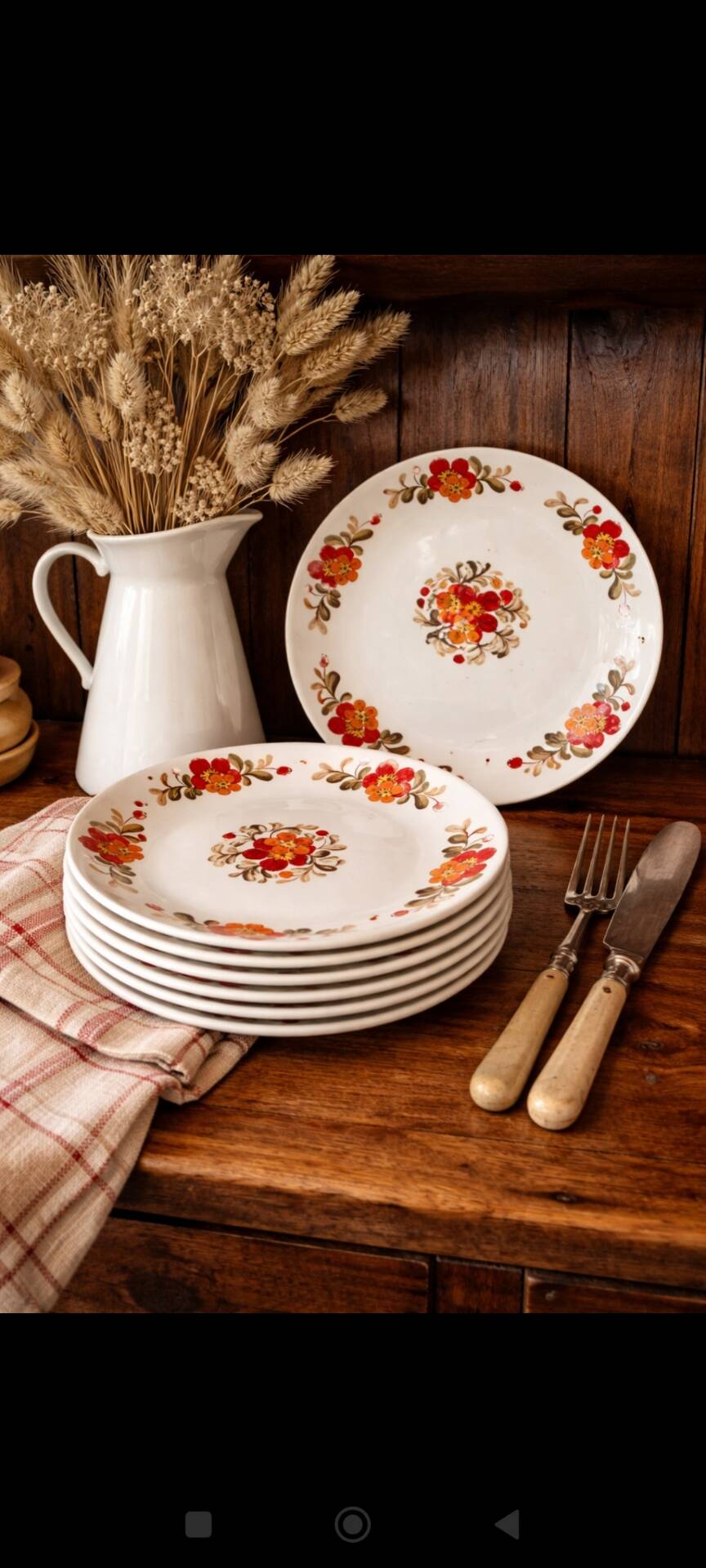 Lot of 6 vintage plates - Moulin des Loups