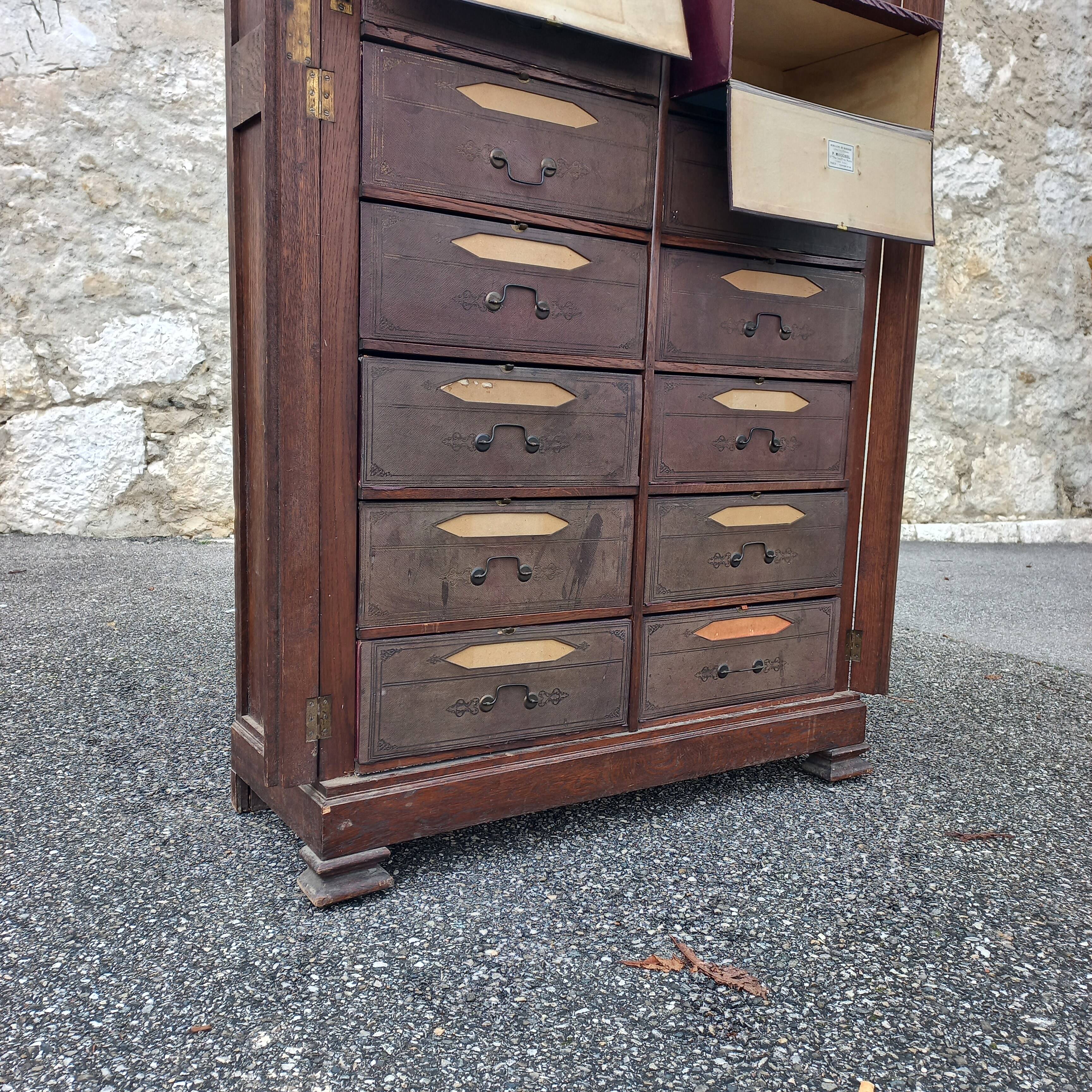 Herbalist cardboard maker