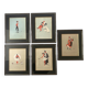 Set of 5 framed illustrations by Maurice Marais, 19th century