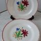 Set of 6 flat plates Digoin Sarreguemines years 30-40
