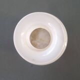 Carnation Vase