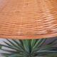 Abat day wicker vintage