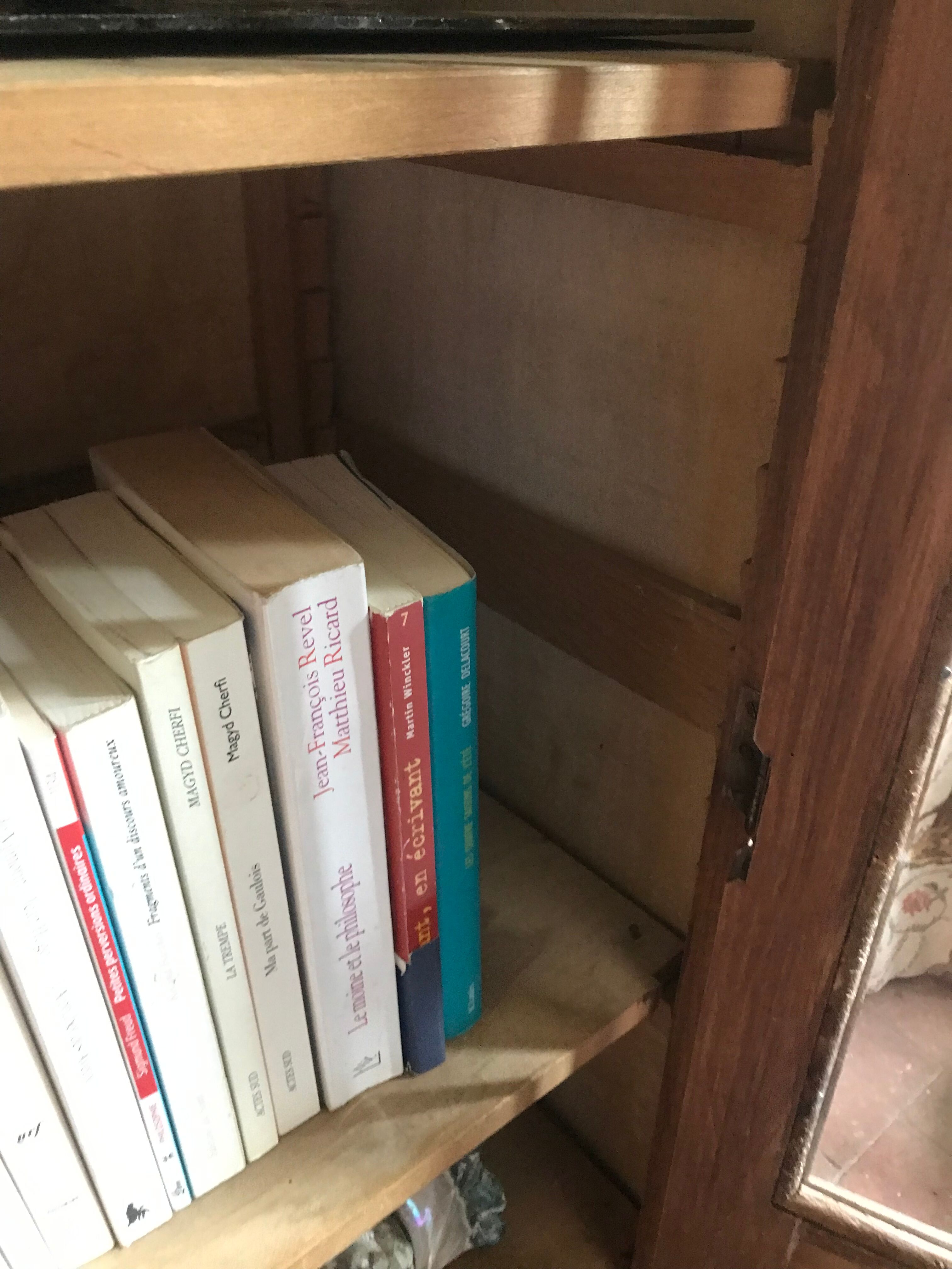 Parisian glazed wardrobe