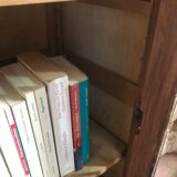 Parisian glazed wardrobe