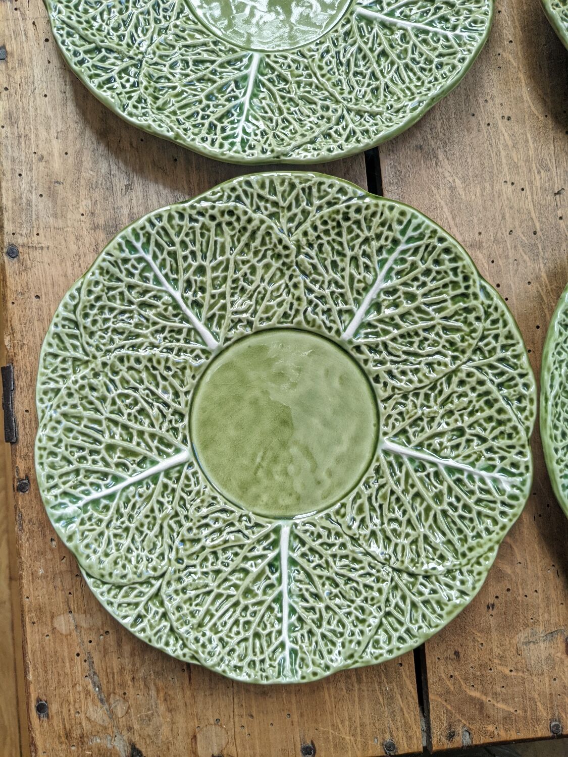 6 cabbage plates