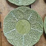 6 cabbage plates