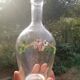 Carafe enamelled décor