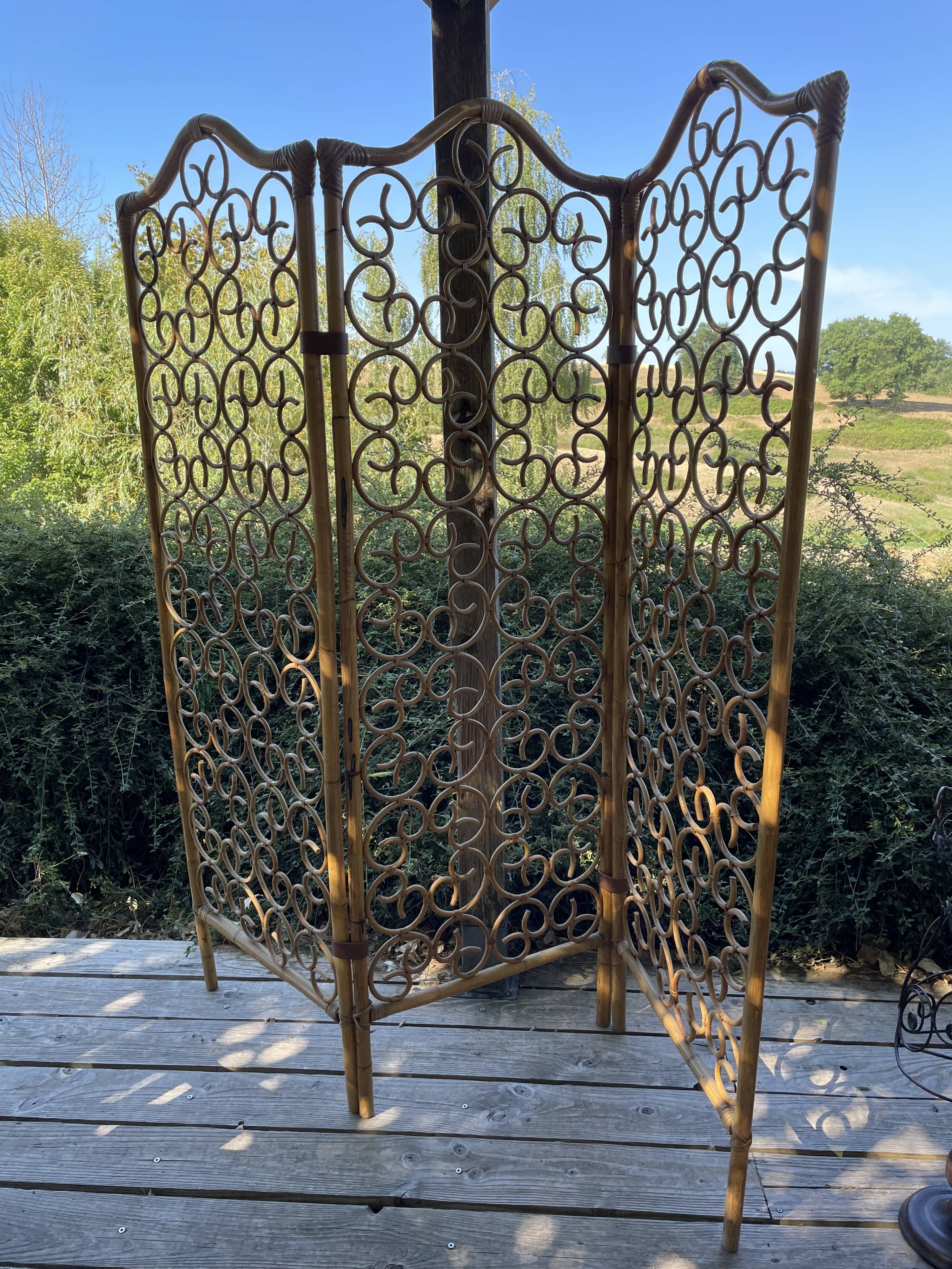 Vintage screen