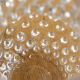 Small pitcher with raised pimples
