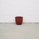 burgundy red flower pot