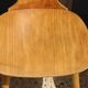 6 BAUMANN V2 chairs in light beech