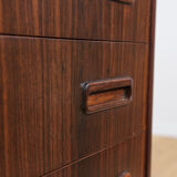 Mid-century rosewood dresses by e. jensen & j. andersen for westergaard mobelfabrik, 1960s