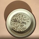 5 assiettes suédois