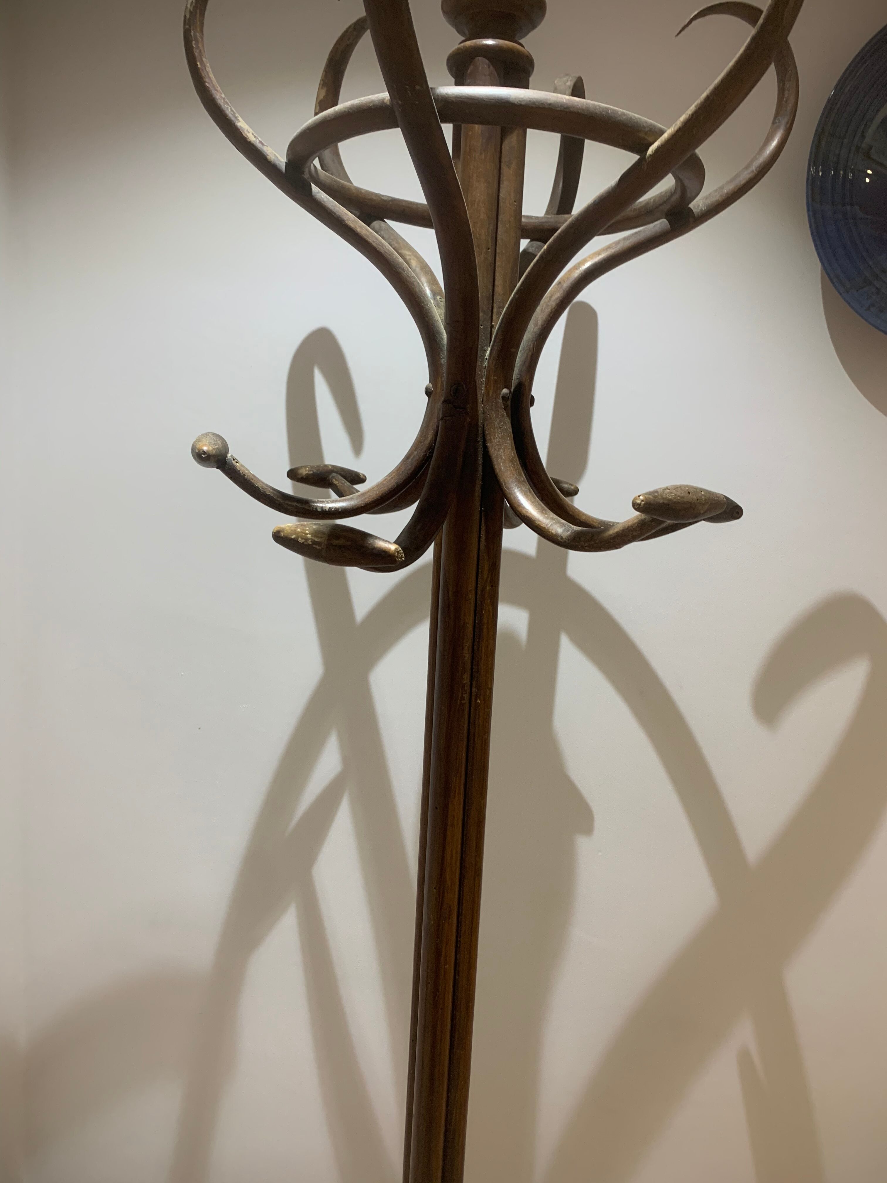 6 branches coatrack