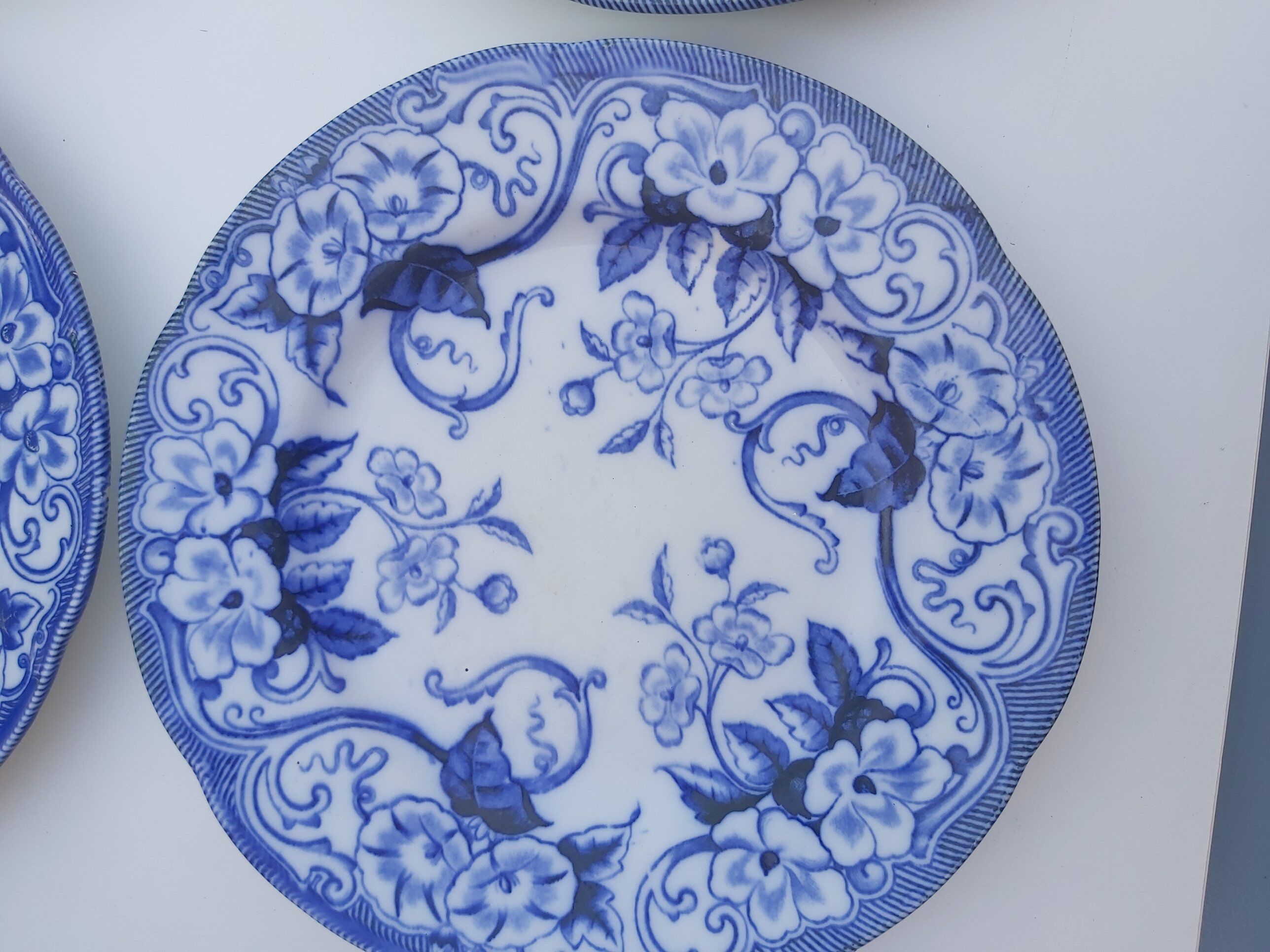 6 flat plates Creil and Montereau Flora