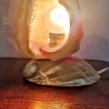 Shell lamp