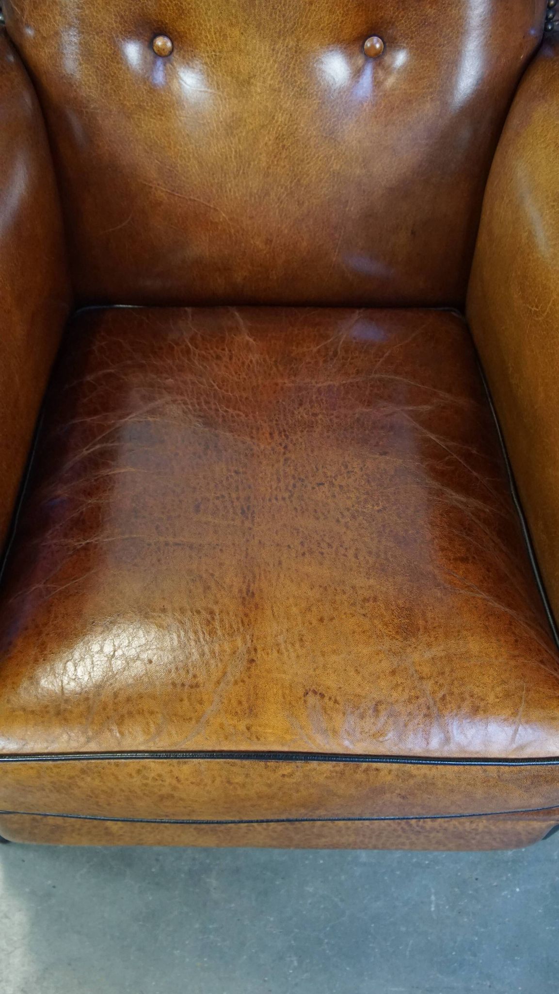 Sheep leather design armchair finished with decorative nails and black piping