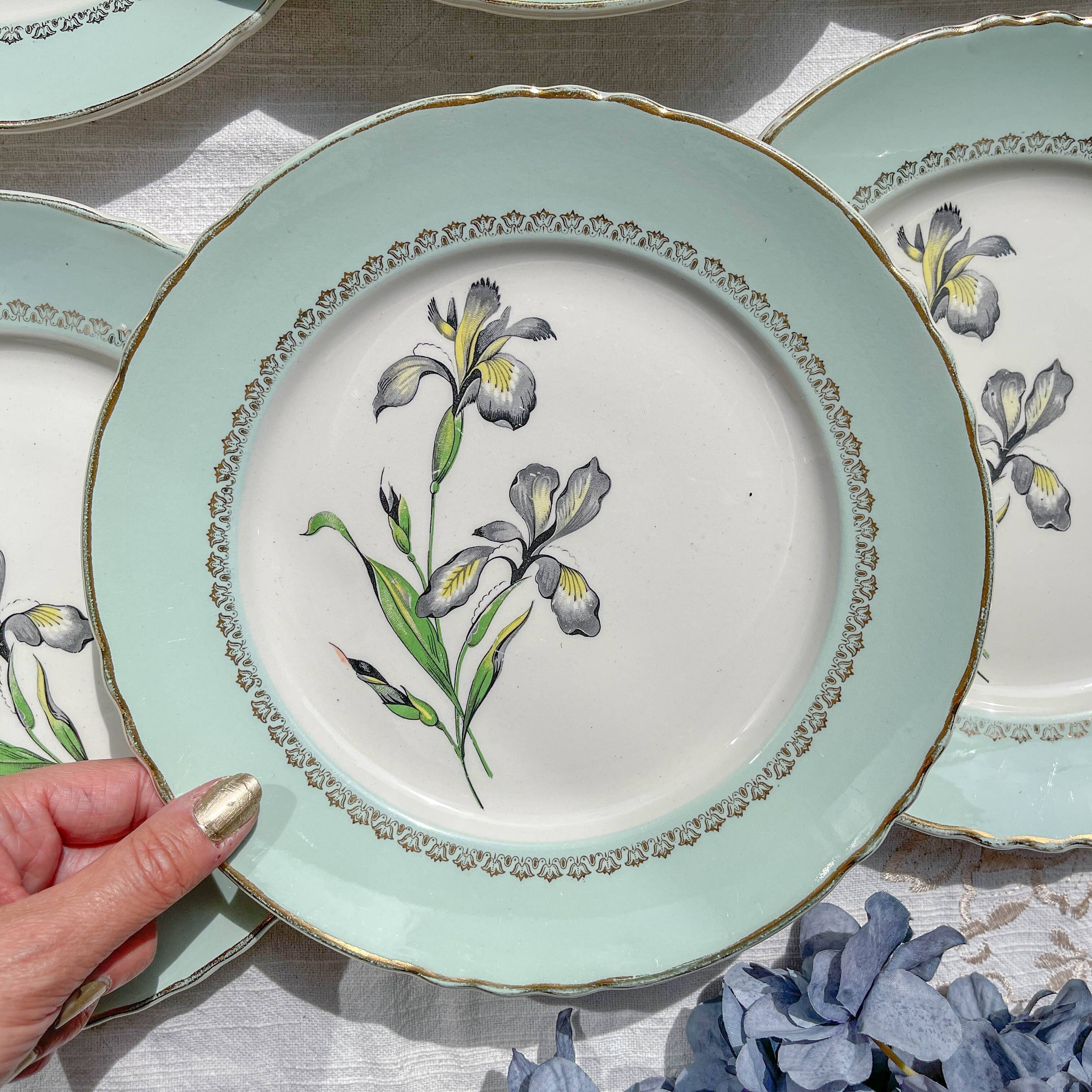 6 vintage white and green porcelain dinner plates Iris Moulin des Loups "Sargosse" 1950s