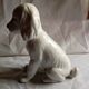 Chien en ceramique