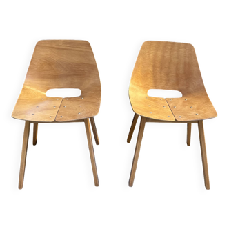 Barrel Chairs All wood Pierre Guariche ARP Steiner x2