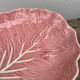 Slip pink cabbage leaf flat empty pocket