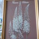 Lot 4 botanical frames 70